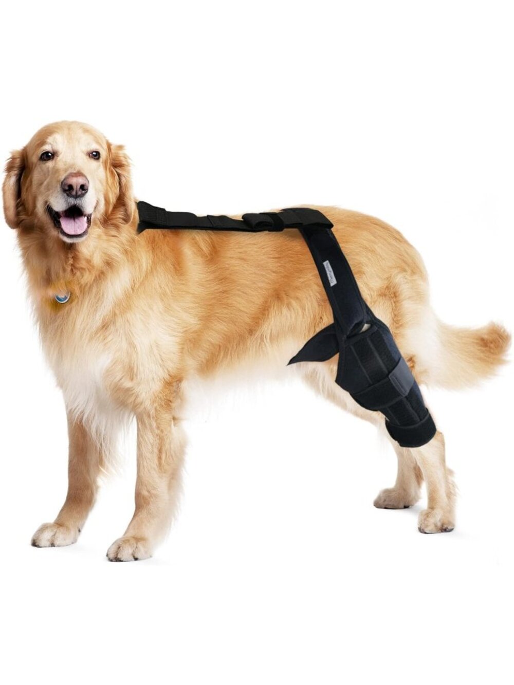MerryMilo Dog Knee Brace - Large, Black